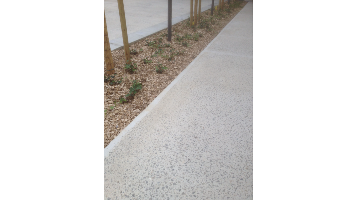 béton bouchardé  <p>Allée bouchardée avec bordure lisse</p>